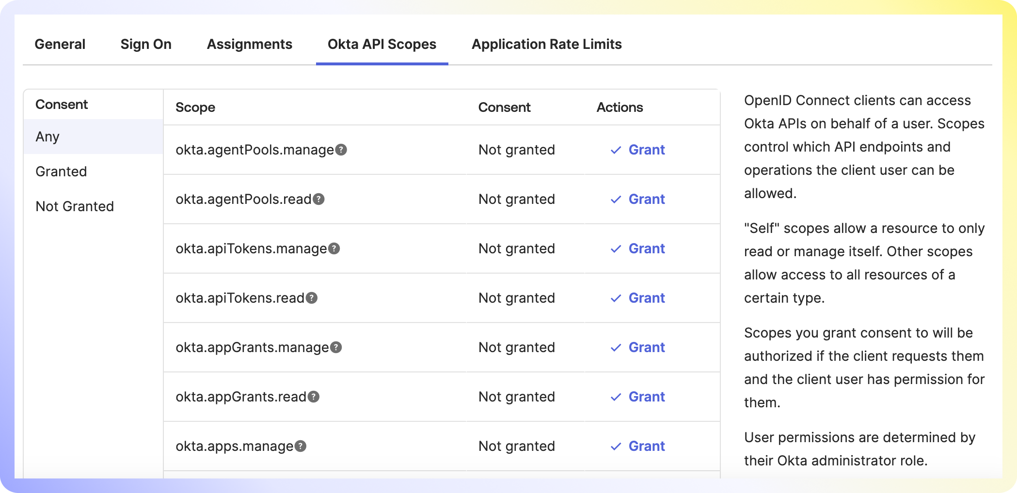 Okta Step 8 - API Scopes